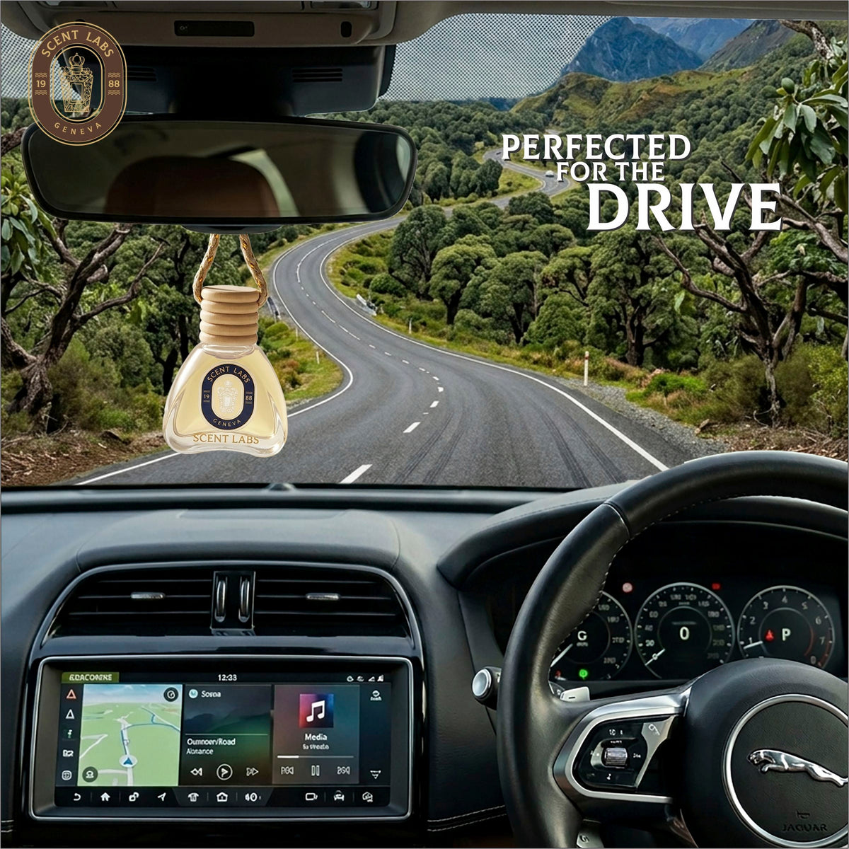 Why Use a Car Perfume?